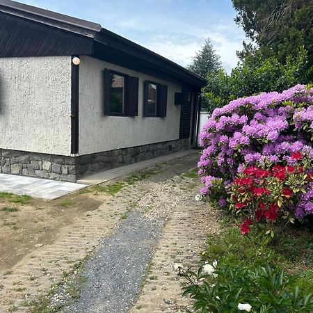 Chata Na Leto Nespeky Eksteriør bilde